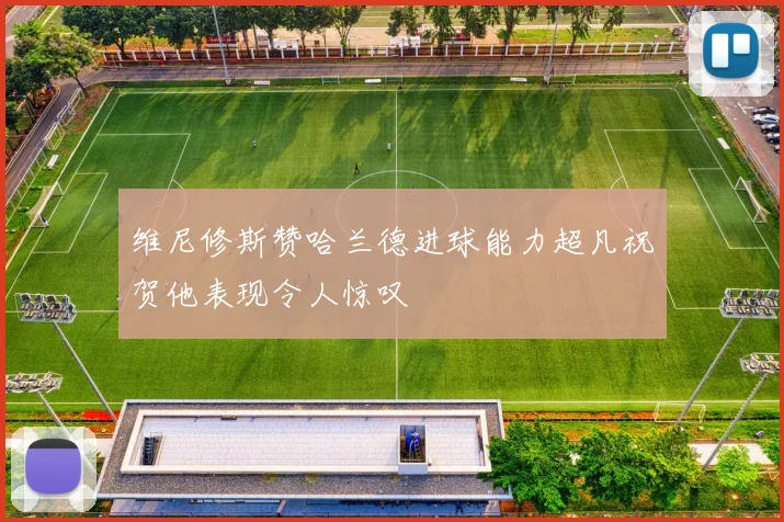 维尼修斯赞哈兰德进球能力超凡祝贺他表现令人惊叹