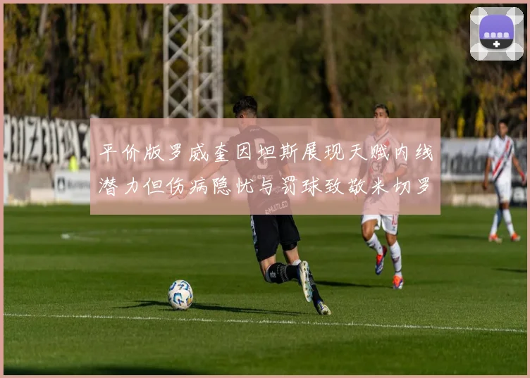 平价版罗威奎因坦斯展现天赋内线潜力但伤病隐忧与罚球致敬米切罗